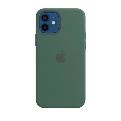 Чехол-накладка Silicone Case Apple iPhone 12 Mini Pine Green