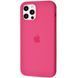 Чехол-накладка Silicone Case Apple iPhone 12 Mini Dragon Fruit